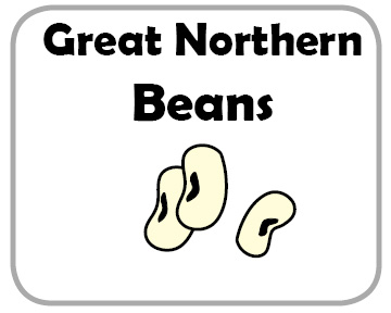Great Northern Beans Commodity Image